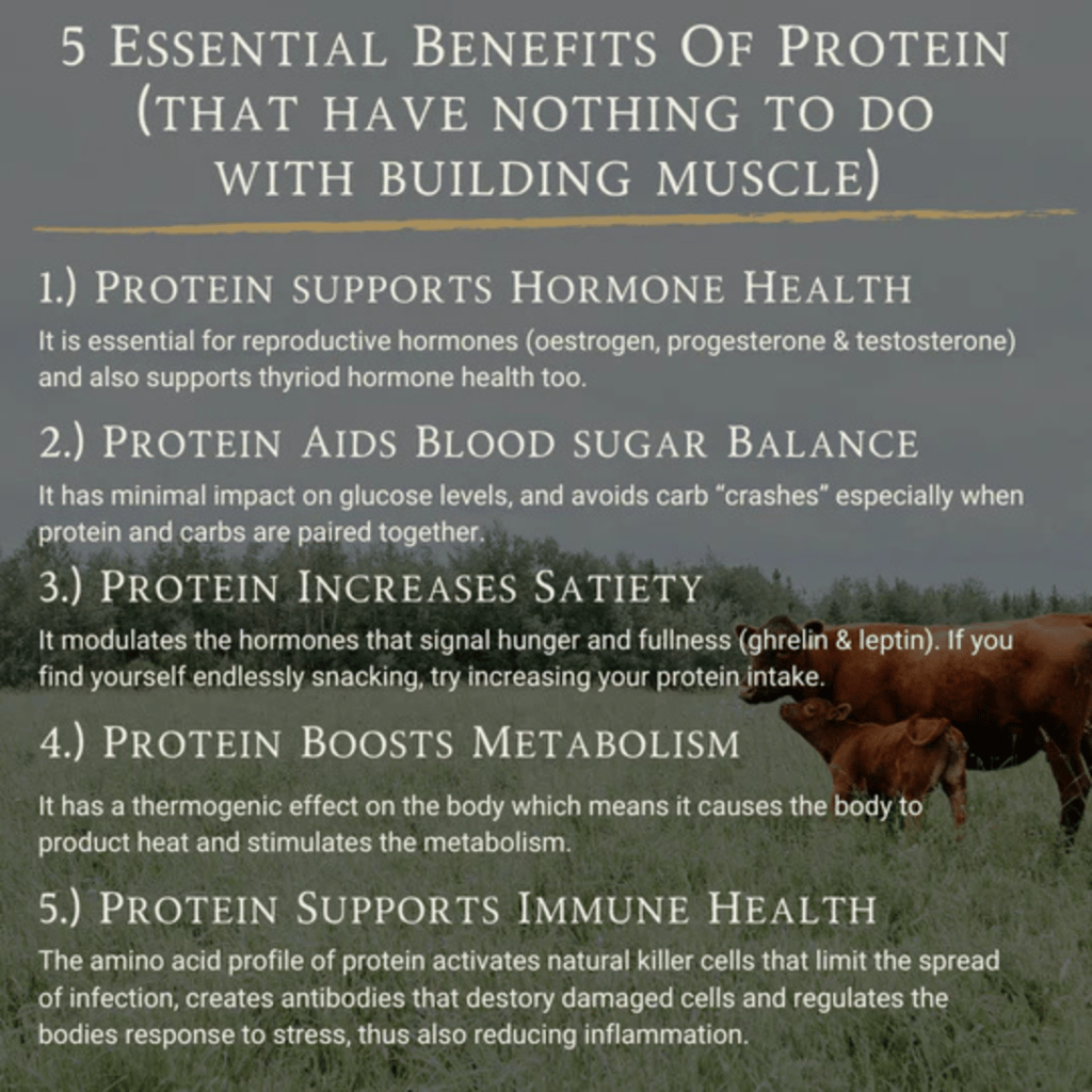 Ape Nutrition Grass-Fed Beef Protein - Raw Cacao & Maple Sea Salt (1.26kg) back of pack