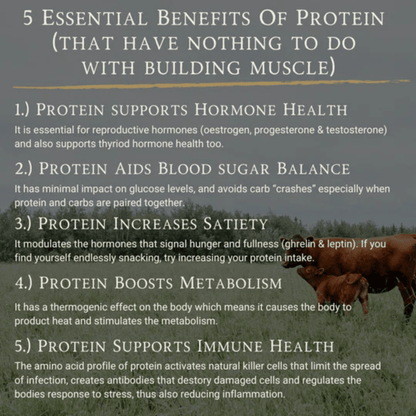 Ape Nutrition Grass-Fed Beef Protein - Raw Cacao & Maple Sea Salt (1.26kg) back of pack